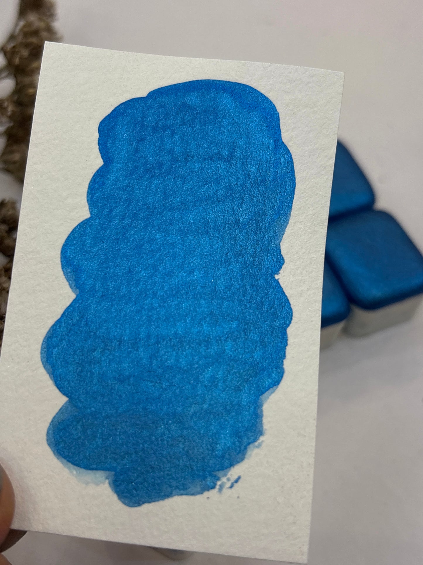 Nova Blue✨