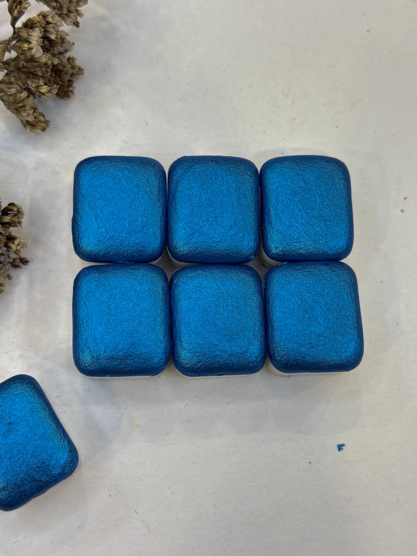 Nova Blue✨