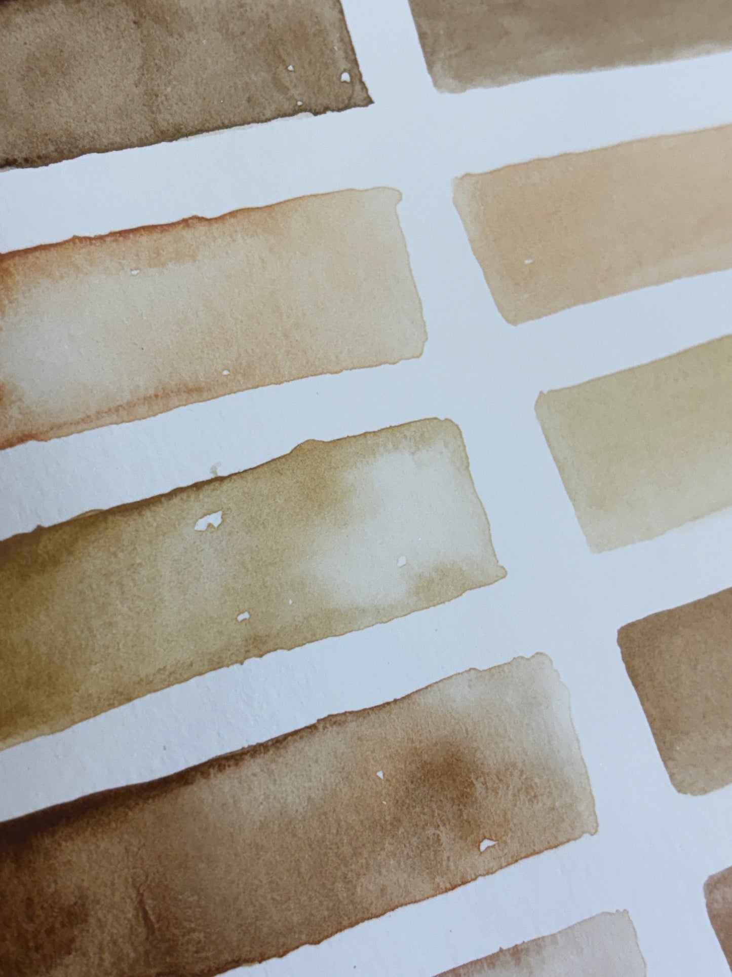 Skin shades Half pans~