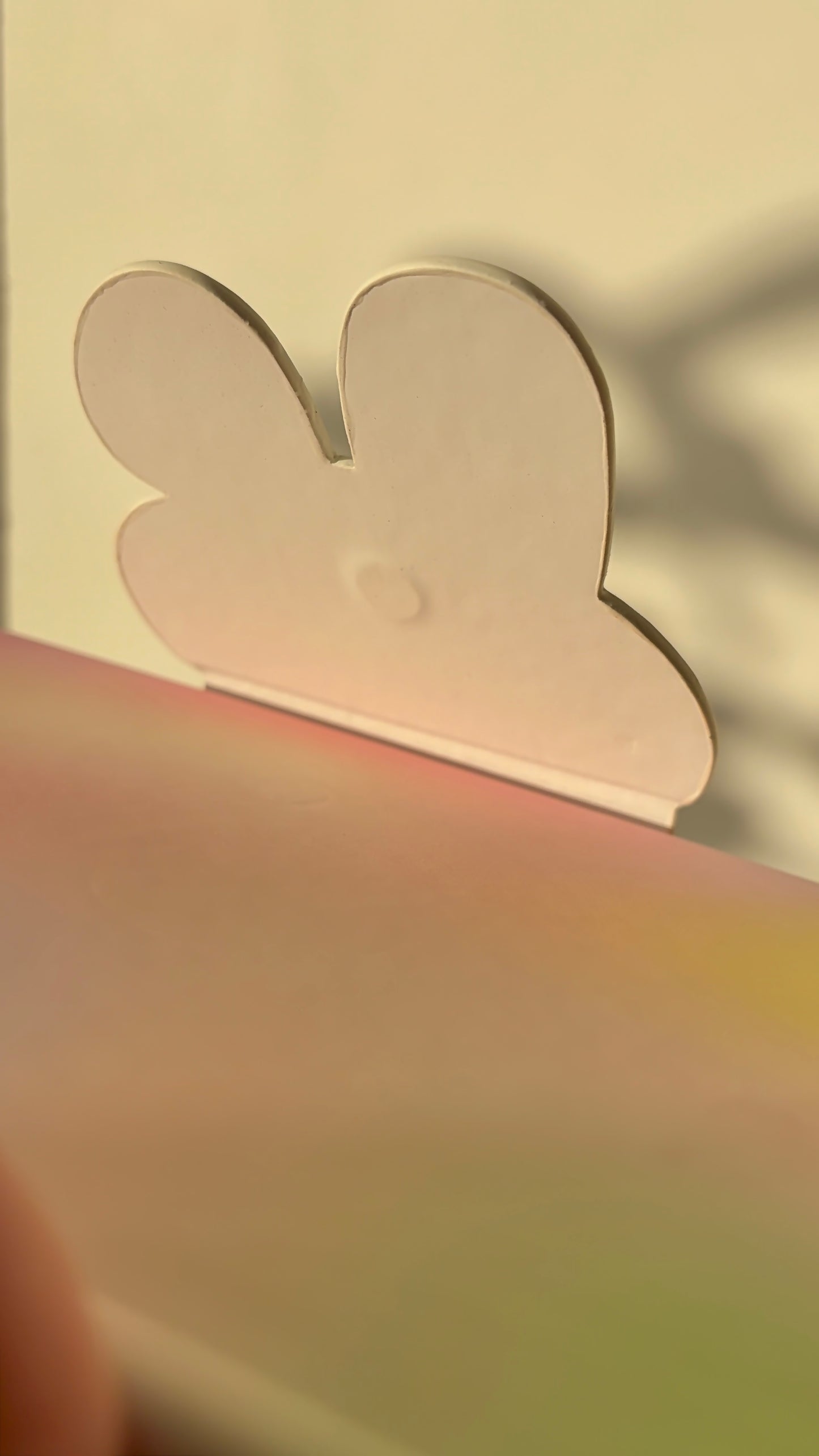 Bunny Hoppy thoughts 💭 🐰
